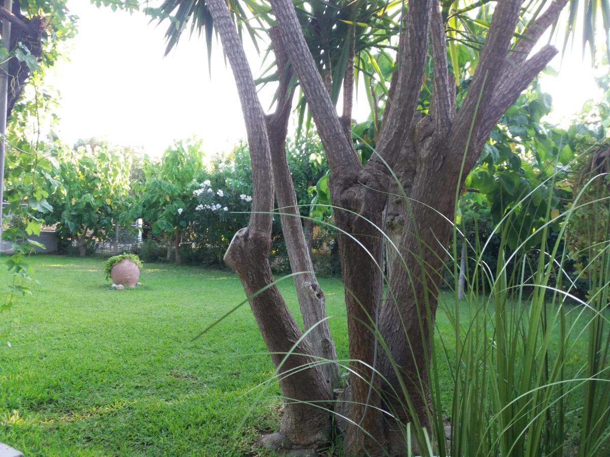 Beach House For Up To 9 People Near Olympia Katakolo Ngoại thất bức ảnh